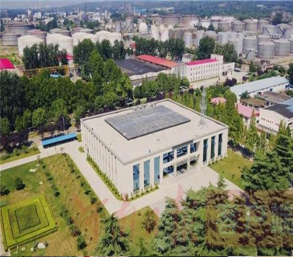 1-211025092133503.jpg 1-211025092133503.jpg